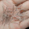 Купить Швензы-крючки №065 серебро 925 19*14*0,6мм цвет платины (Sterling Silver) (1 пара) с доставкой по России