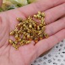 Подвеска Жёлуди 03 16,5*11*4мм античное золото (литьё) (10шт) Купить Подвеска Жёлуди 03 16,5*11*4мм античное золото (литьё) (10шт) с доставкой по России
