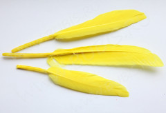 Перо №05 гусиное 13-16см жёлтое (перья)