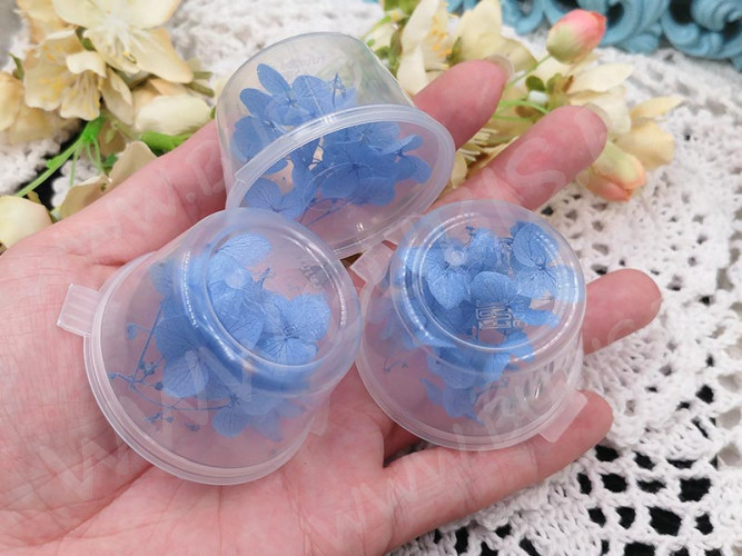 Сухие цветы 30 Гортензия 16-18мм стабилизированная тёмно-голубая в коробочке (натуральные цветы)