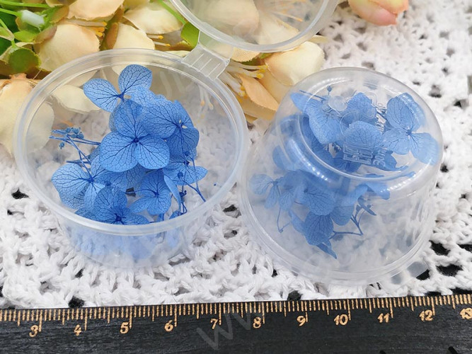 Сухие цветы 30 Гортензия 16-18мм стабилизированная тёмно-голубая в коробочке (натуральные цветы)