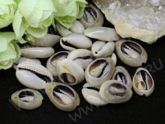 Ракушка 02 примерно 16-22*12-16мм серо-бежевая (перламутр и ракушки) (10шт.)