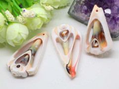 Кулон 0155 Ракушка срез рамка примерно 45-55*22-28*7мм натуральная розоватая (перламутр и ракушки)