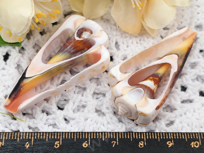 Кулон 0155 Ракушка срез рамка примерно 45-55*22-28*7мм натуральная розоватая (перламутр и ракушки)