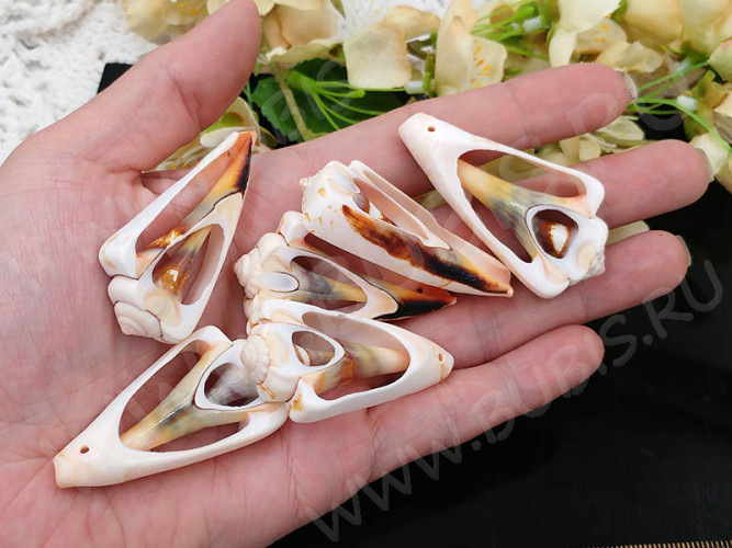 Кулон 0155 Ракушка срез рамка примерно 45-55*22-28*7мм натуральная розоватая (перламутр и ракушки)