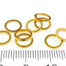 Купить Кольцо декоративное 21 Ронделька плоская 8*8*1мм золотистое (Brass) (10шт.) с доставкой по России