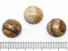 Кабошон каменный 030 Круг 12*12*5мм Яшма пейзажная (камни)