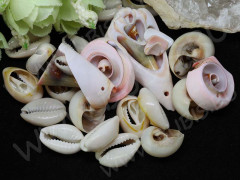 Ракушка 05 микс форм примерно 15-45мм микс натуральных цветов (перламутр и ракушки) (50гр)