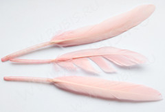 Перо №05 гусиное 13-16см бл.розовое (перья)