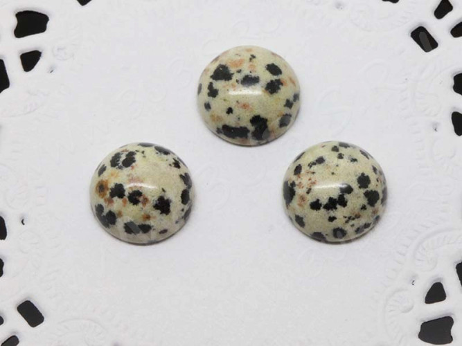 24516-kaboshon-yashma-dalmatin-IMG_1546.JPG