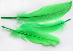 Перо №06 гусиное 16-21см зелёное (перья)