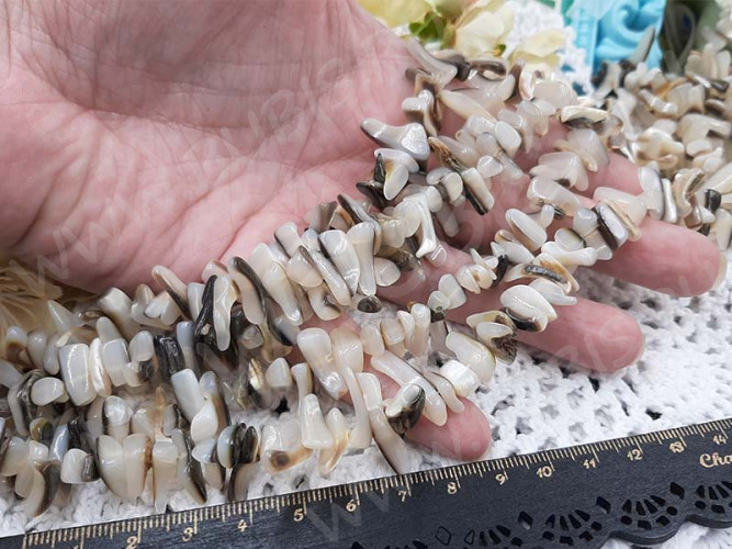 (ОПТ) Бусина каменная Клык 26 11-16*3-4мм Перламутр молочно-коричневый натуральный (камни) (перламутр и ракушки) (НИТЬ)