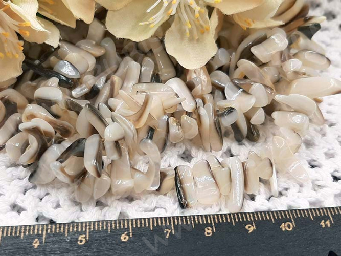 (ОПТ) Бусина каменная Клык 26 11-16*3-4мм Перламутр молочно-коричневый натуральный (камни) (перламутр и ракушки) (НИТЬ)