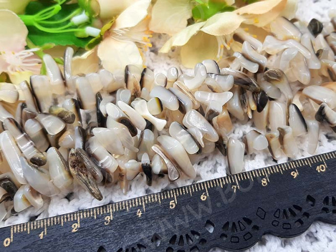 (ОПТ) Бусина каменная Клык 26 11-16*3-4мм Перламутр молочно-коричневый натуральный (камни) (перламутр и ракушки) (НИТЬ)
