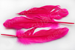 Перо №06 гусиное 16-21см фуксия (перья)