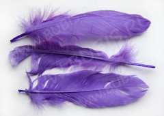 Перо №06 гусиное 16-21см фиолетовое (перья)