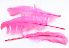 Перо №06 гусиное 16-21см яр.розовое (перья)