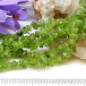 Крошка (галтовка) каменная 140 3-8мм Хризолит натуральный (камни) (нить 29см) Купить Крошка (галтовка) каменная 140 3-8мм Хризолит натуральный (камни) (нить 29см) с доставкой по России