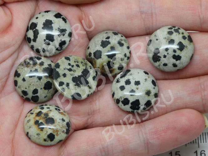 Кабошон каменный 110 Круг 16*16*6мм Яшма Далматин (камни)