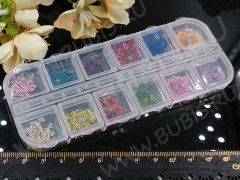 Сухие цветы 02 Зонтики плоские соцветия примерно 1,0-2,0см комплект МИКС в контейнере (натуральные цветы) (ок. 24шт.)